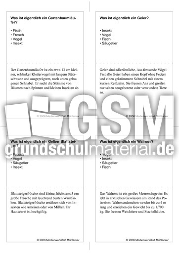 Quiz-Karten-Tiernamen 71.pdf